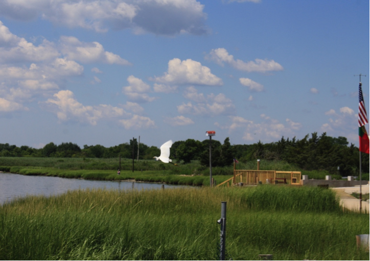 Natural Floodplain